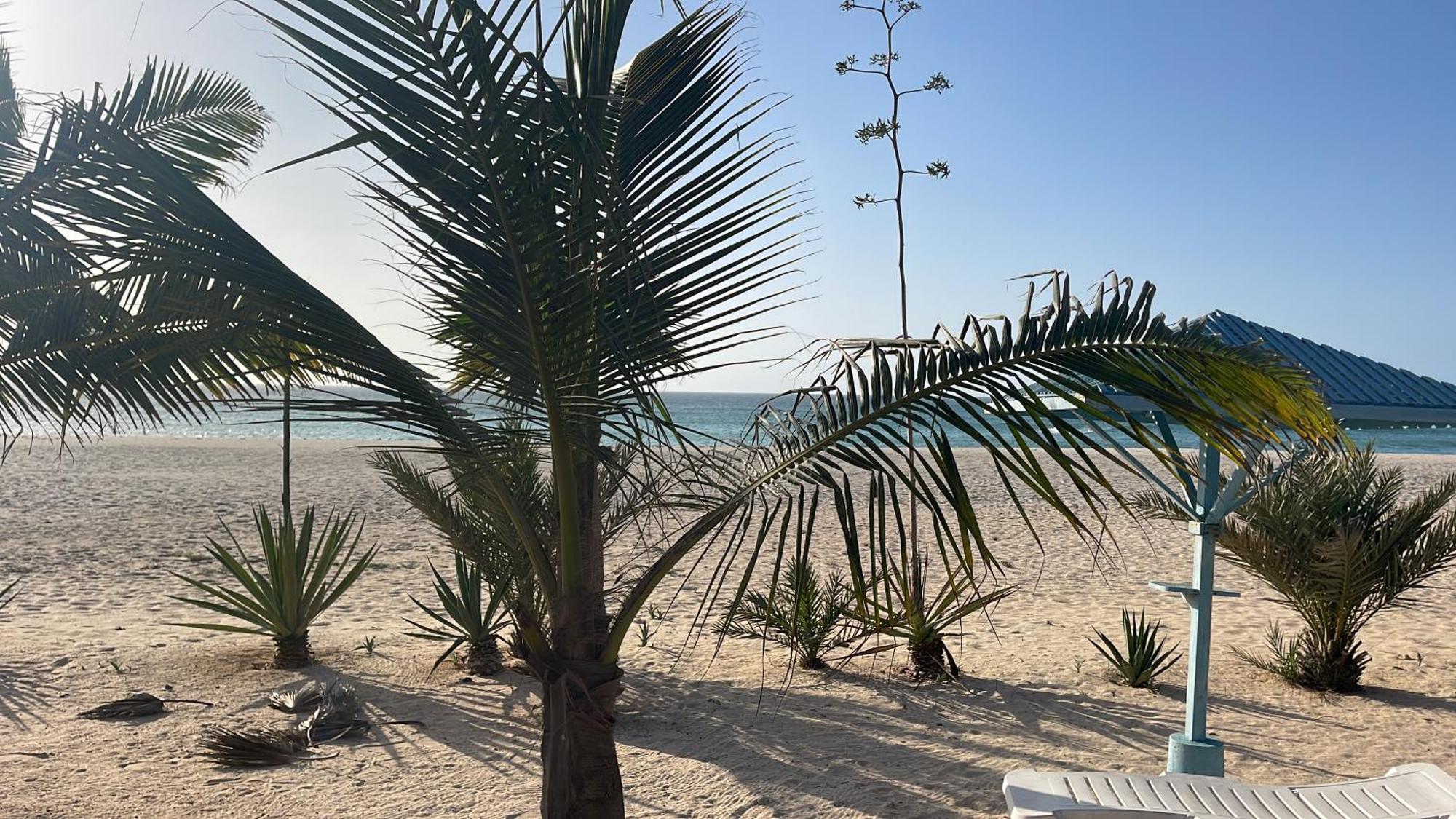 Luxury Beach Villa, Praia De Chaves, Boa Vista Sal Rei Exteriér fotografie